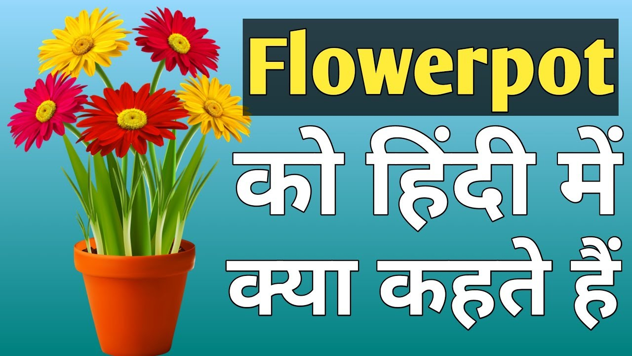 Flower Pot Ko Hindi Me Kya Kehte Hain Meaning Of Flower regarding size 1280 X 720