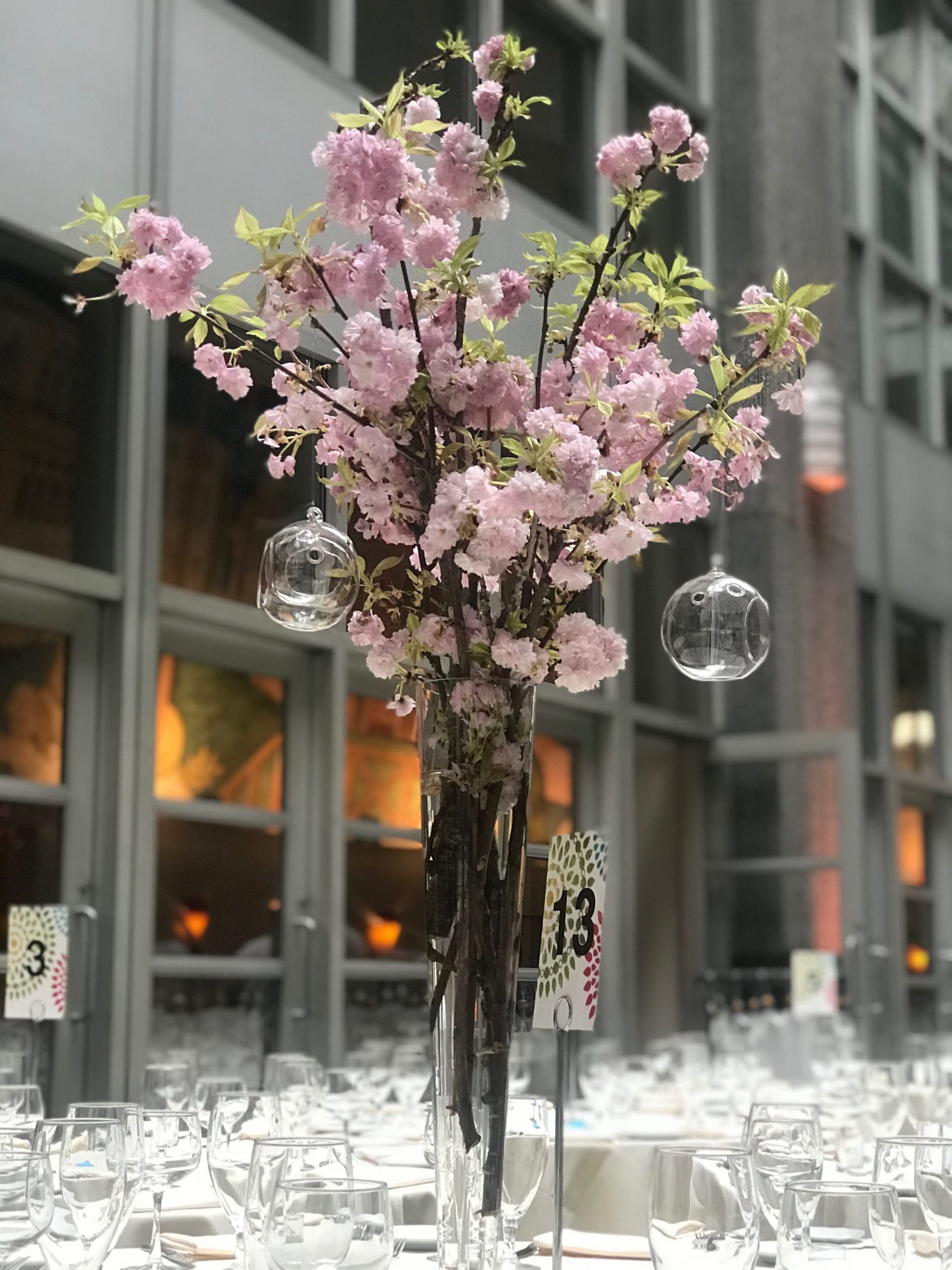 Flowered Branches Cherry Blossoms In A Tall Vase Tall within dimensions 3024 X 4032
