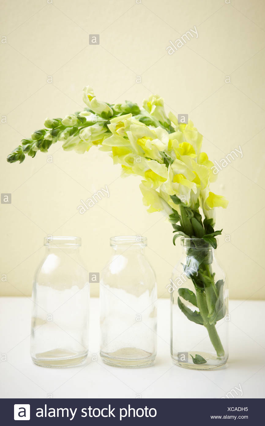 Flowers In A Glass Vase Next To Glass Vases Stock Photo inside dimensions 866 X 1390