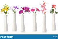 Flowers In Tall White Vases Stock Photo Image Of Vase with regard to dimensions 1600 X 761