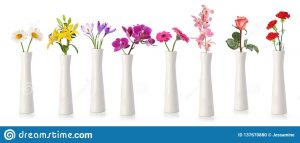 Flowers In Tall White Vases Stock Photo Image Of Vase with regard to dimensions 1600 X 761