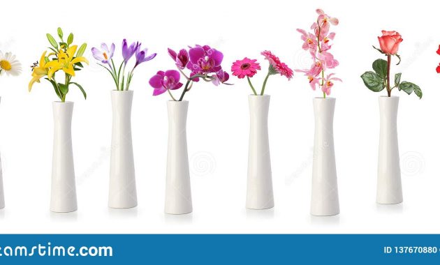 Flowers In Tall White Vases Stock Photo Image Of Vase with regard to dimensions 1600 X 761