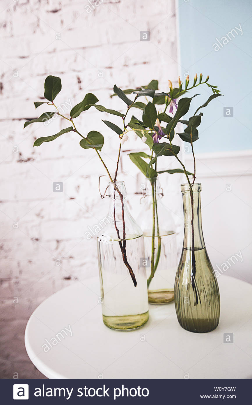 Fresh Spring Branches With Leaves And Flowers In Stylish within measurements 866 X 1390