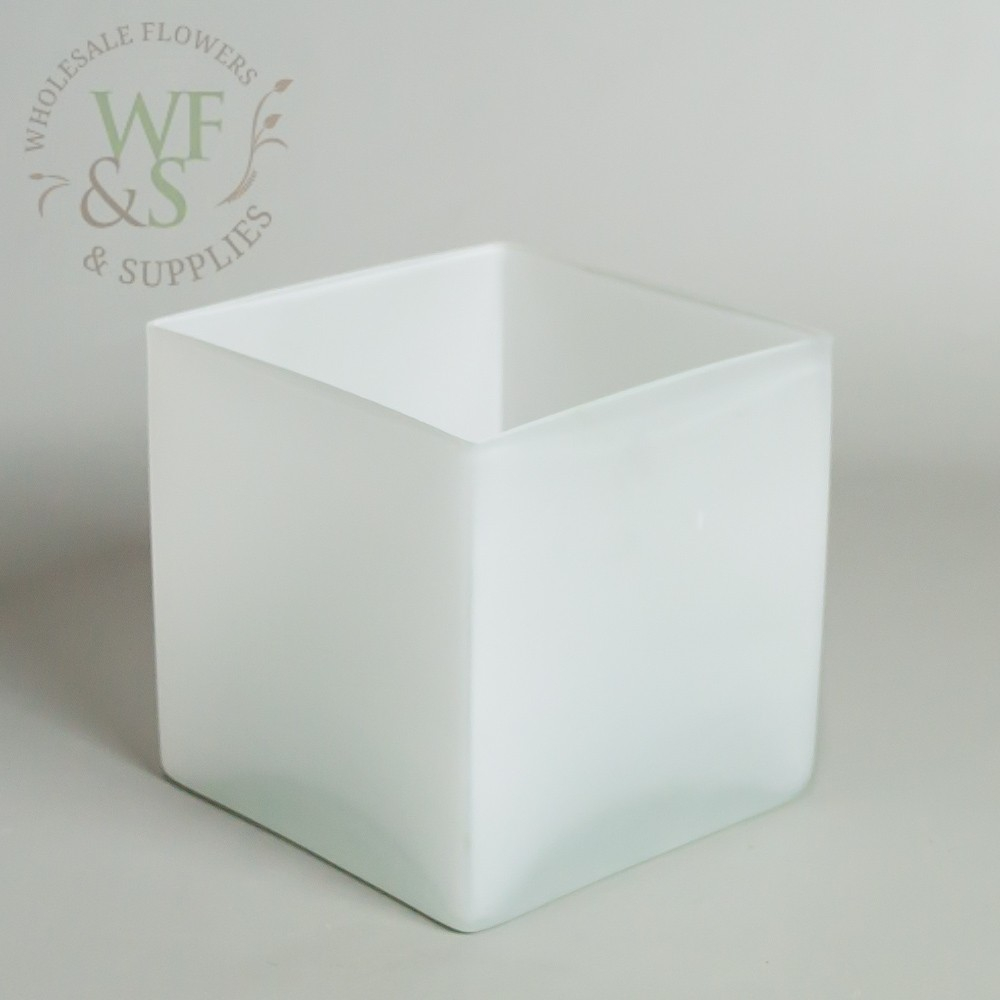 Frosted Square Glass Cube Vase 5x5 with sizing 1000 X 1000