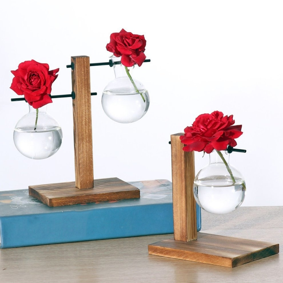 Generic Vintage Hydroponic Plant Vases Transparent Flower regarding measurements 990 X 990