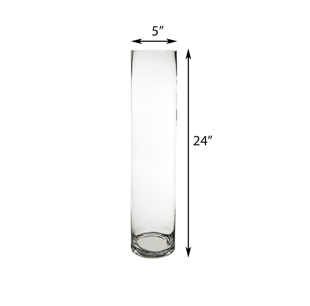 Glass Cylinder Vase H 24 D 5 intended for measurements 1046 X 1034