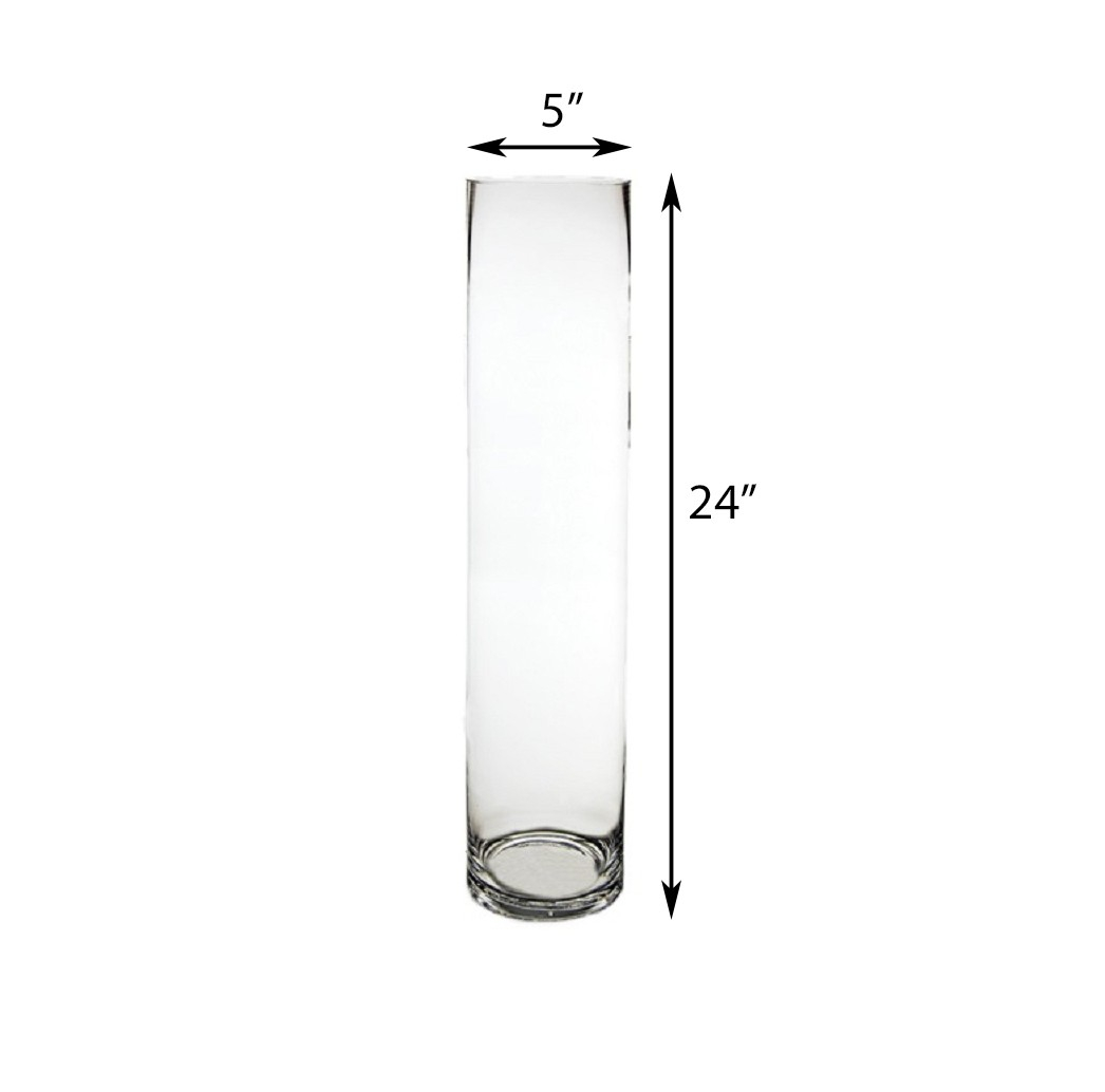 Glass Cylinder Vase H 24 D 5 within measurements 1046 X 1034