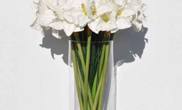 Huge White Amaryllis W Tall Grass Home Decor Design for measurements 1315 X 1973