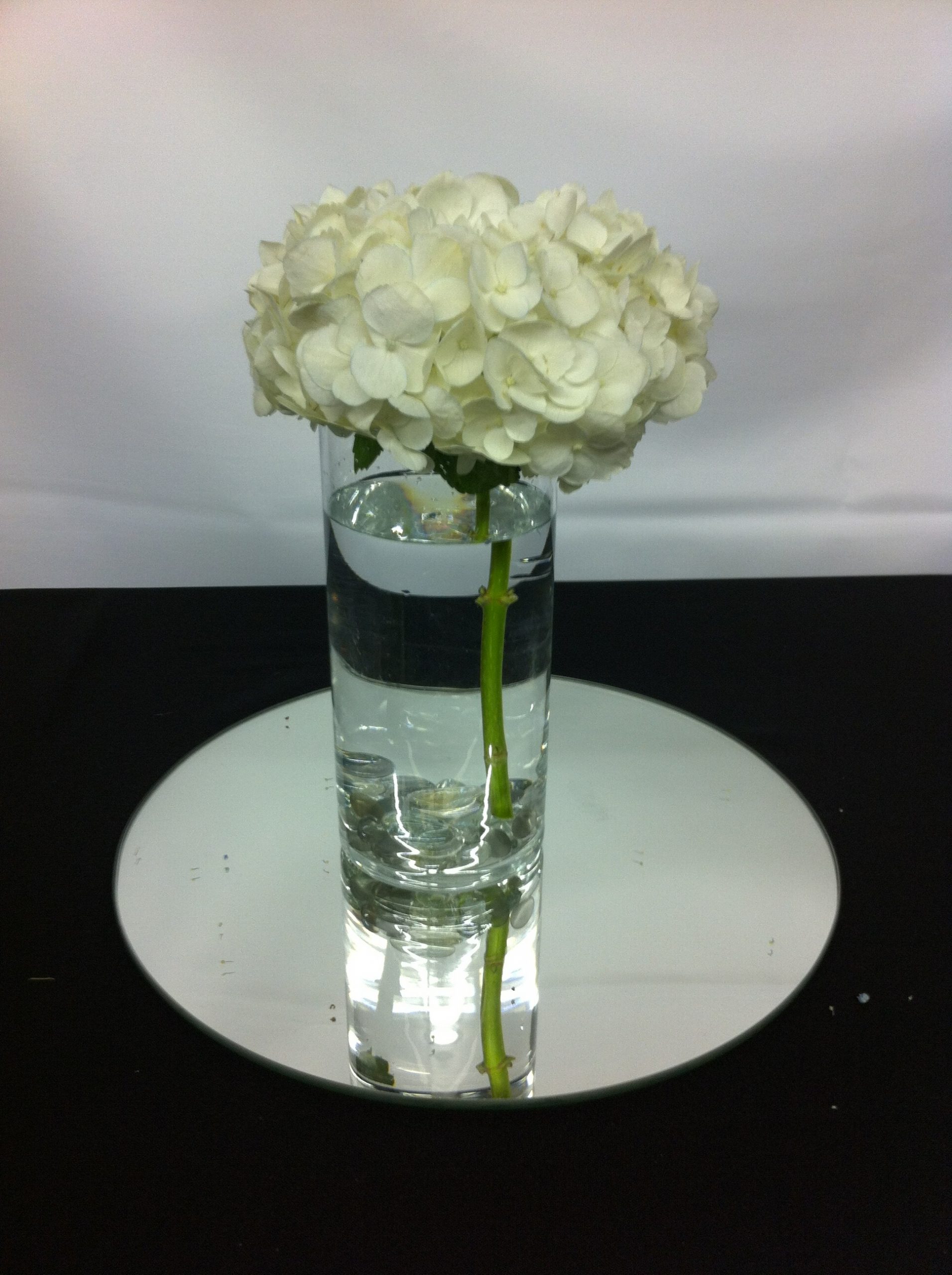 Hydrangea In A Vase in sizing 1936 X 2592