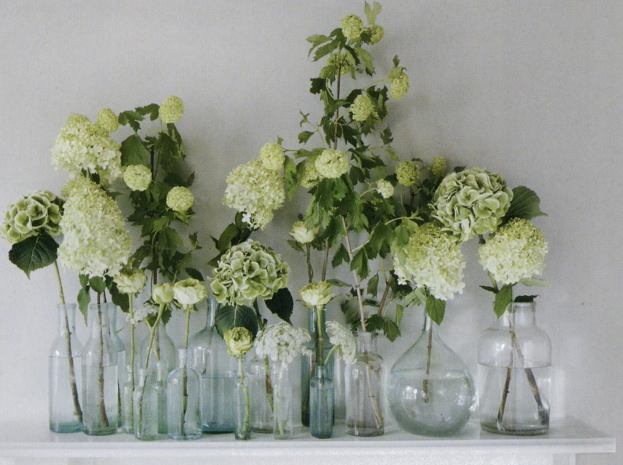 Hydrangeas Green Hydrangea Bud Vases Seasonal Flowers with regard to sizing 1280 X 957