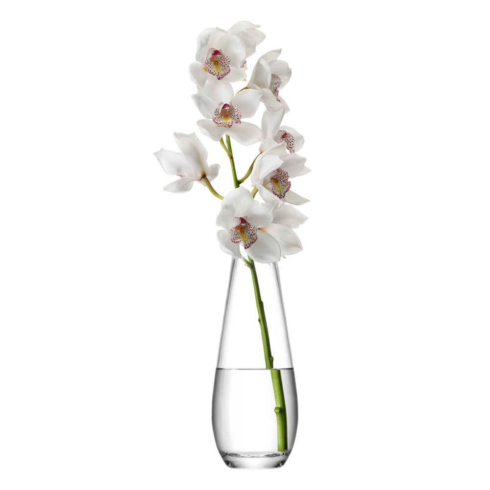 Images Of Flowers In Tall Vases Top Collection Of intended for dimensions 1000 X 1000