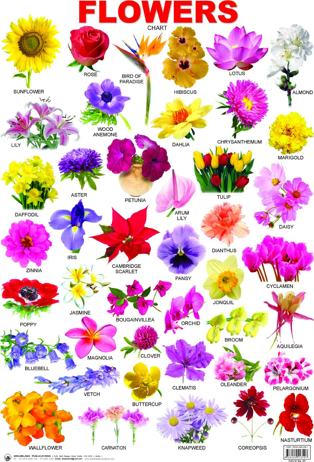 Indian Flower Name List With Image Picture In France For pertaining to sizing 1308 X 1925