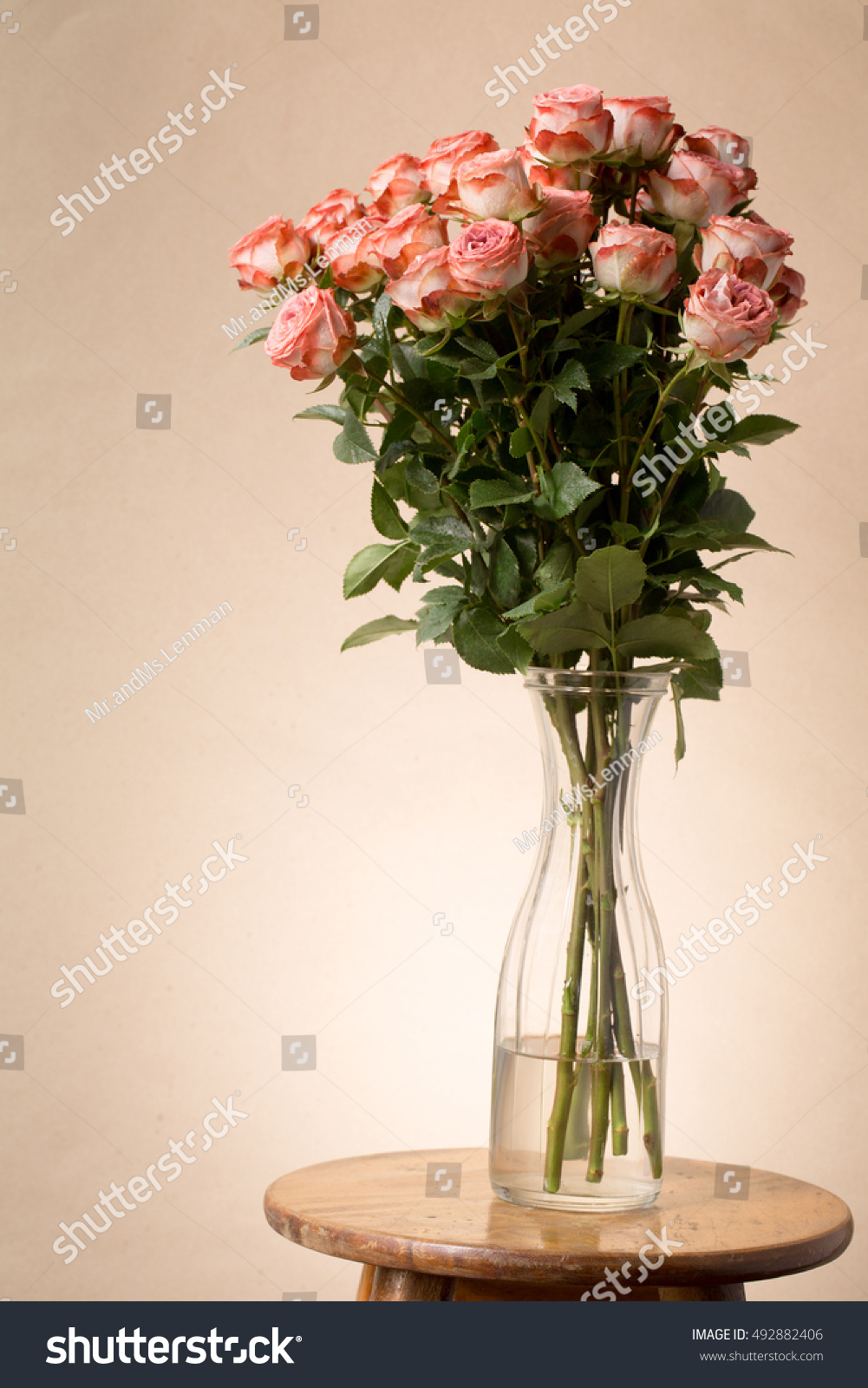 Kenya Roses Vase Stock Photo Edit Now 492882406 regarding proportions 1001 X 1600