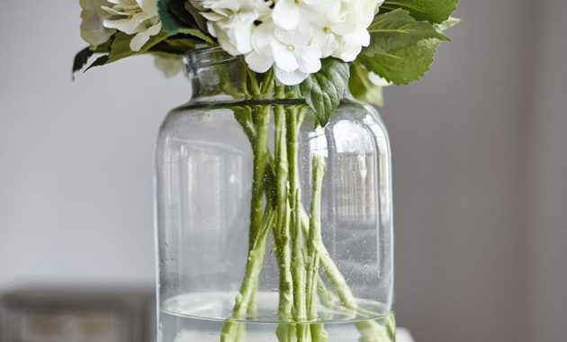 Large Glass Jars Perfect For Displaying Beautiful inside size 800 X 1200