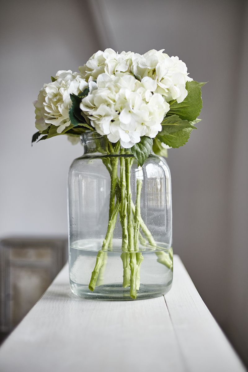 Large Glass Jars Perfect For Displaying Beautiful inside size 800 X 1200