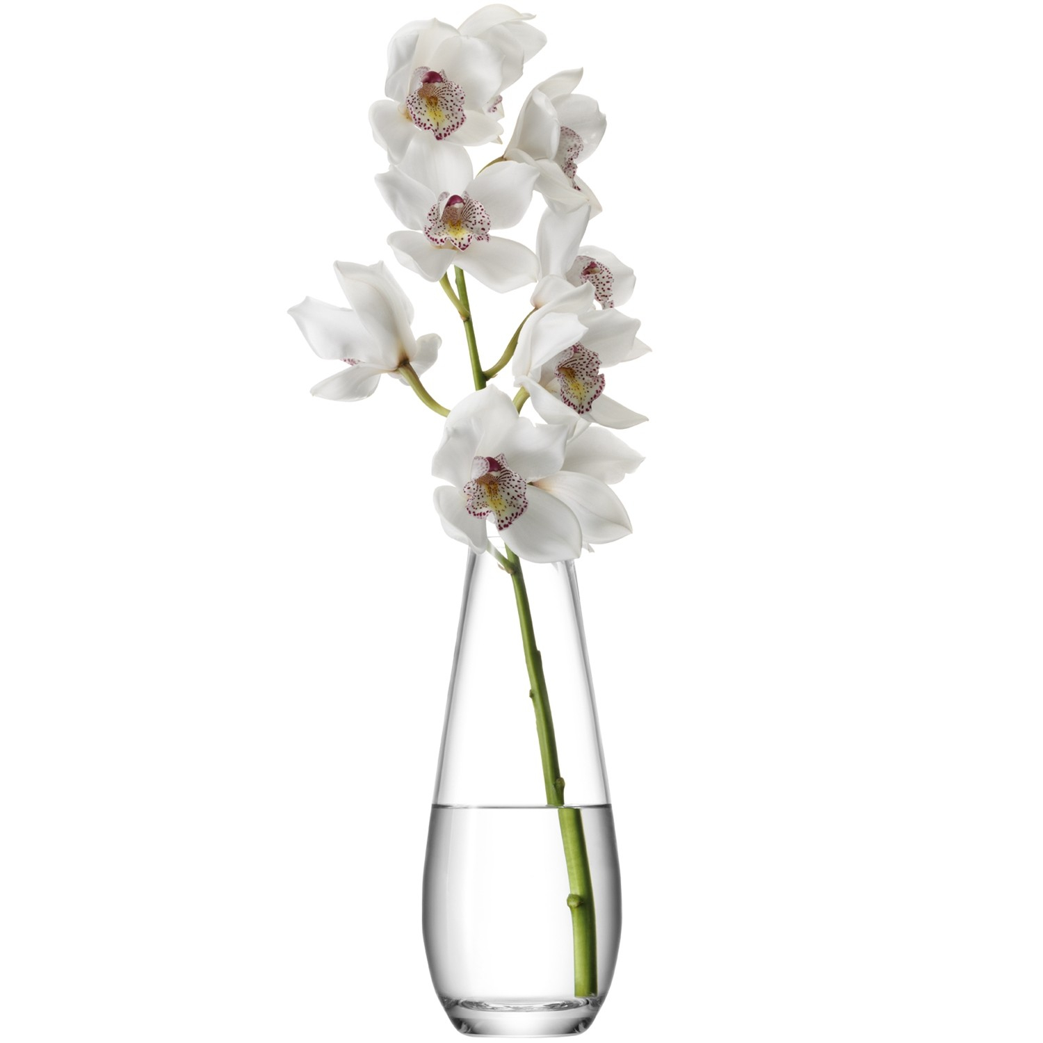 Lsa Flower Tall Stem Vase 29cmclr with regard to measurements 1500 X 1500