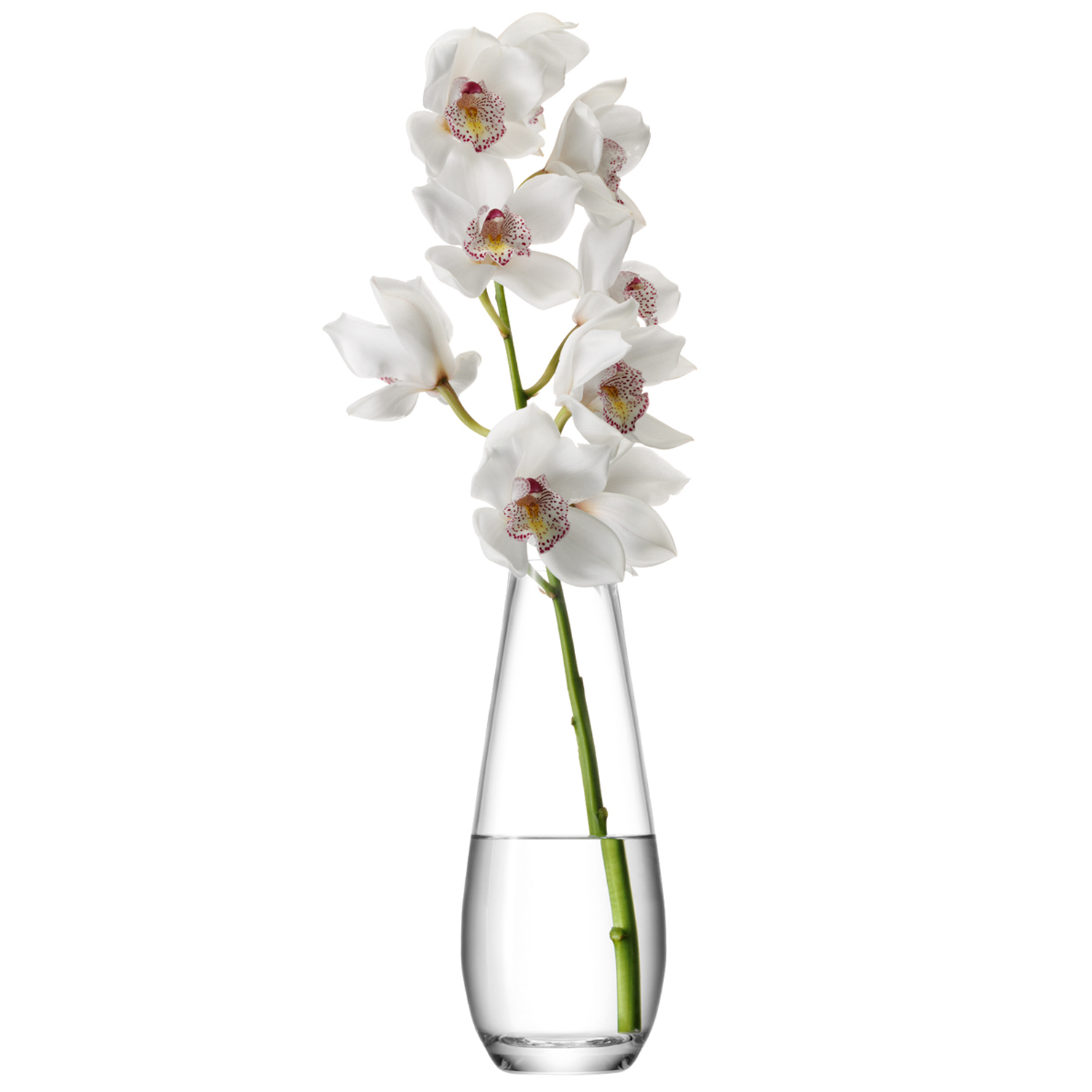 Lsa Flower Tall Stem Vase for dimensions 1500 X 1500