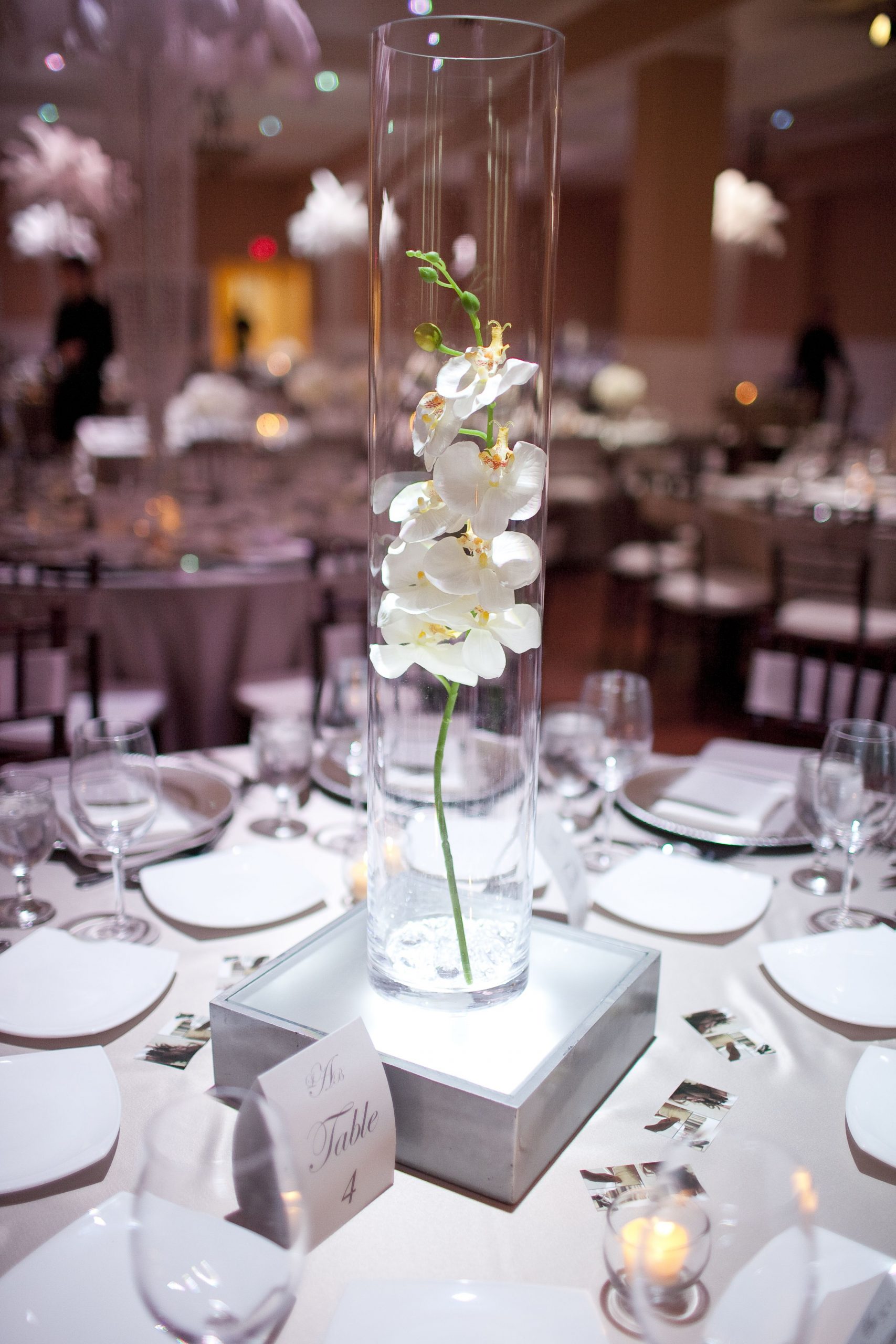 Orchid Centerpiece In Glass Cylinder Simple Beautiful I within sizing 2912 X 4368