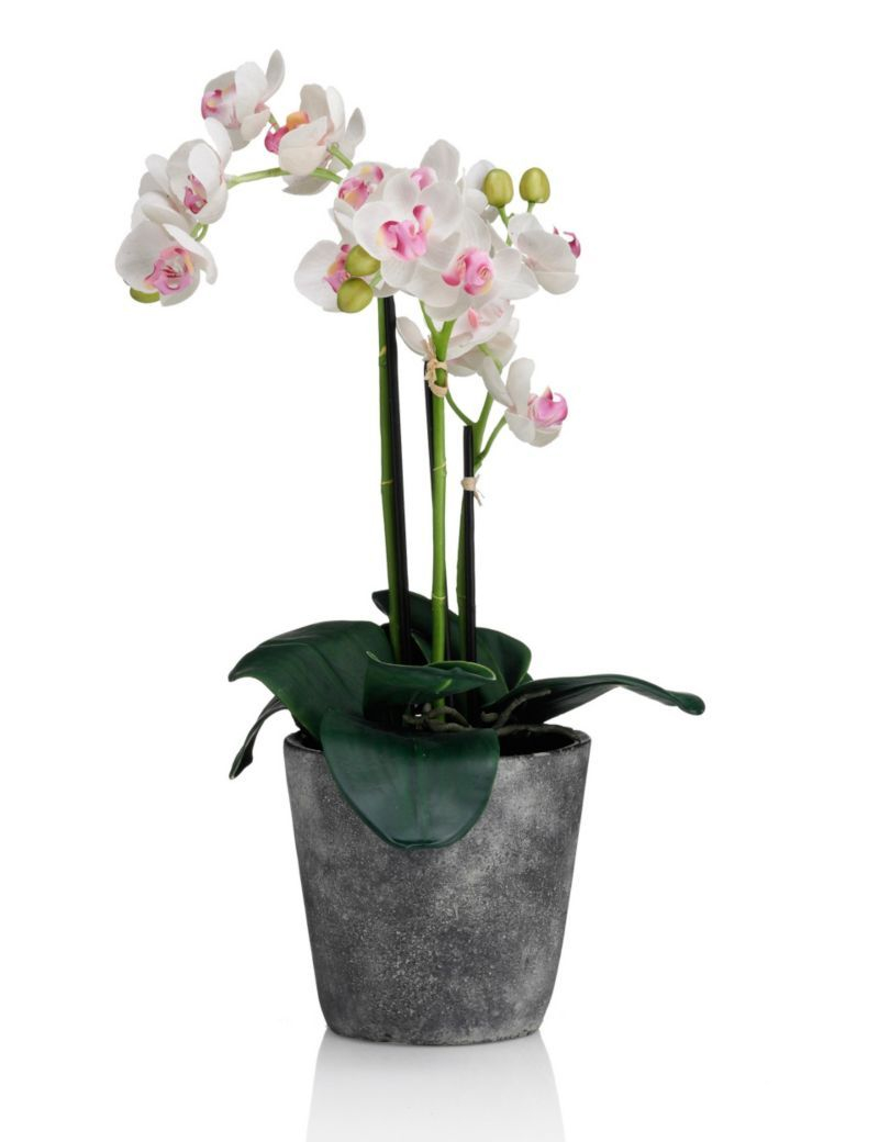 Orchid In Slate Ms Artificial Orchids Orchids in sizing 800 X 1040