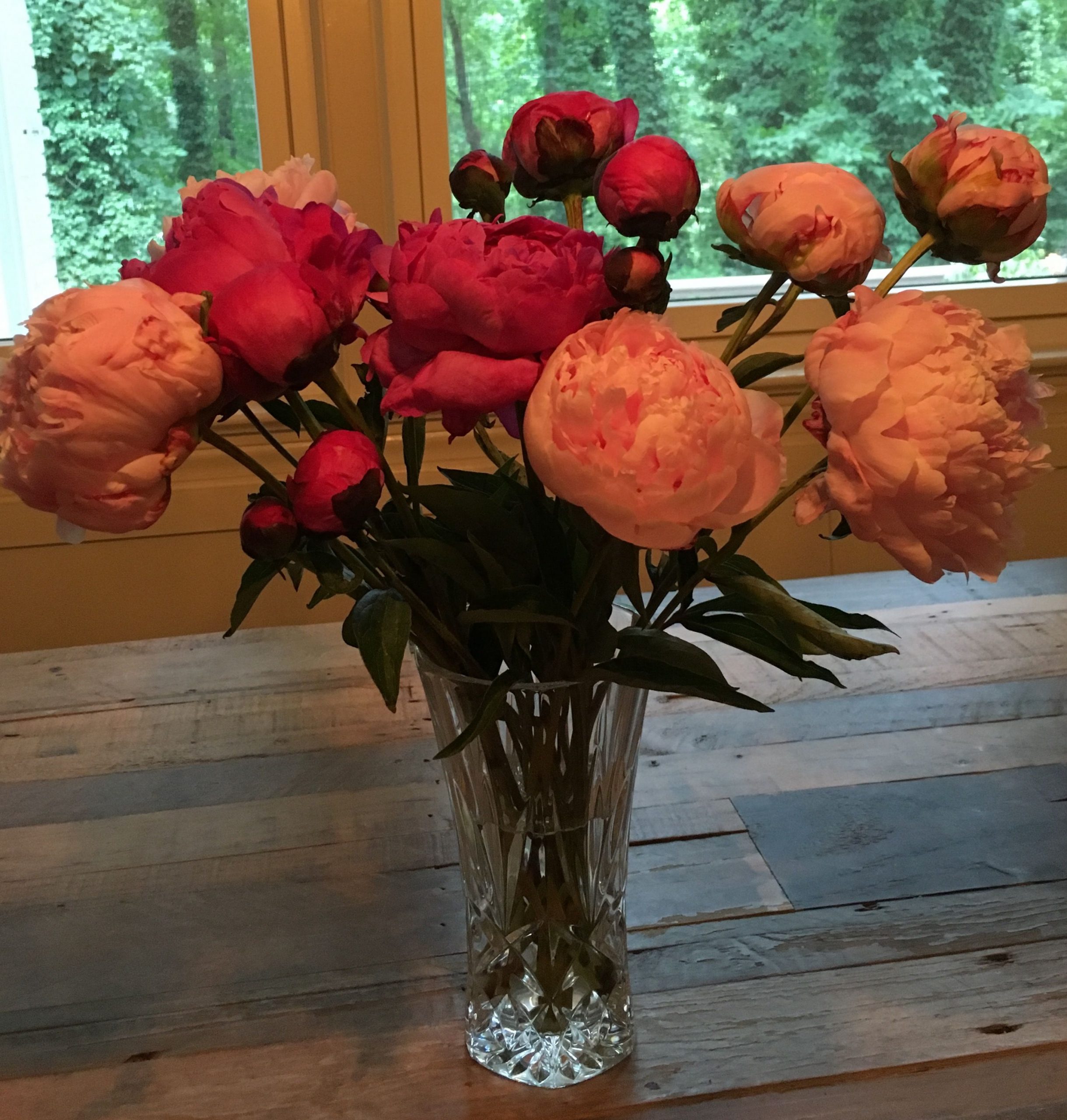 Peonies From Kroger In Buckhead On 61916 Flower with regard to sizing 2787 X 2927