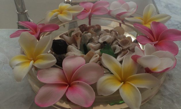 Plumeria Flower Vase Flower Vases Plumeria Flowers in measurements 2448 X 3264