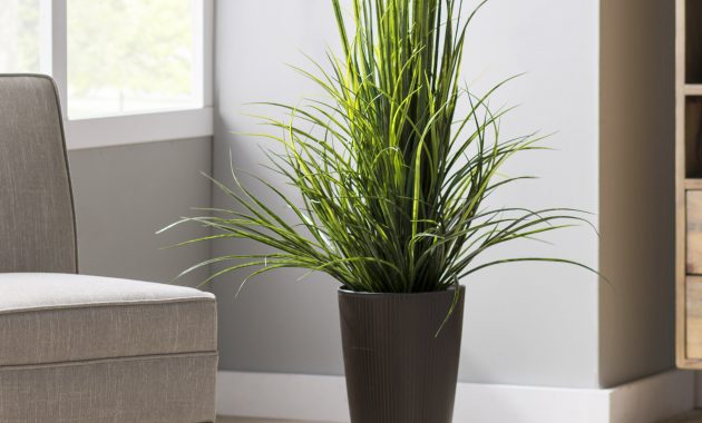 River Grass Floor Plant In Decorative Vase pertaining to proportions 2481 X 2481