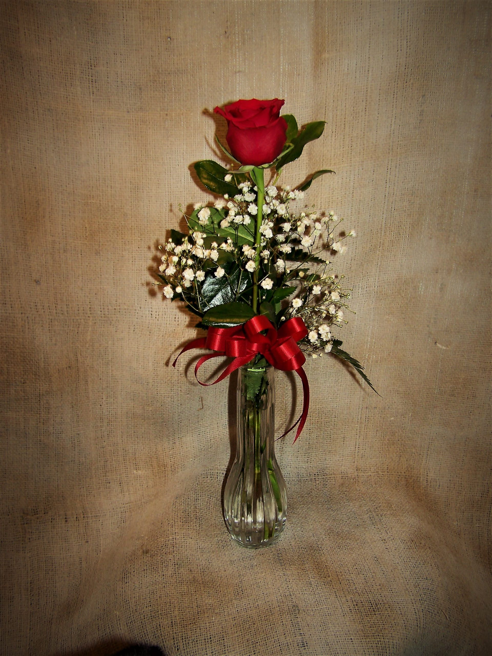 Rose Bud Vase Bellevue Florist within dimensions 2304 X 3072