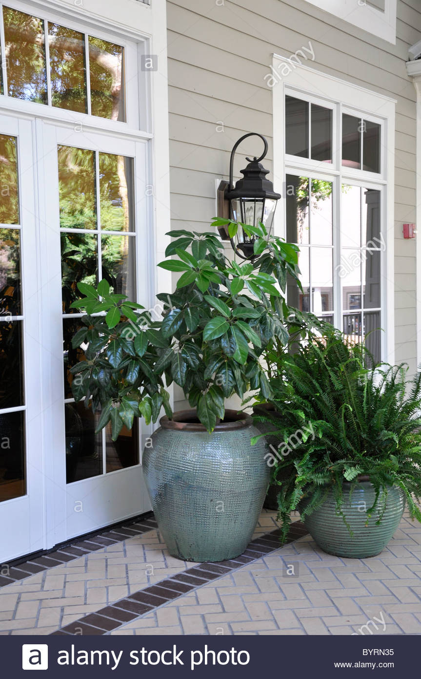 Several Outdoor Plants In Large Vases Sitting On A Covered within measurements 863 X 1390