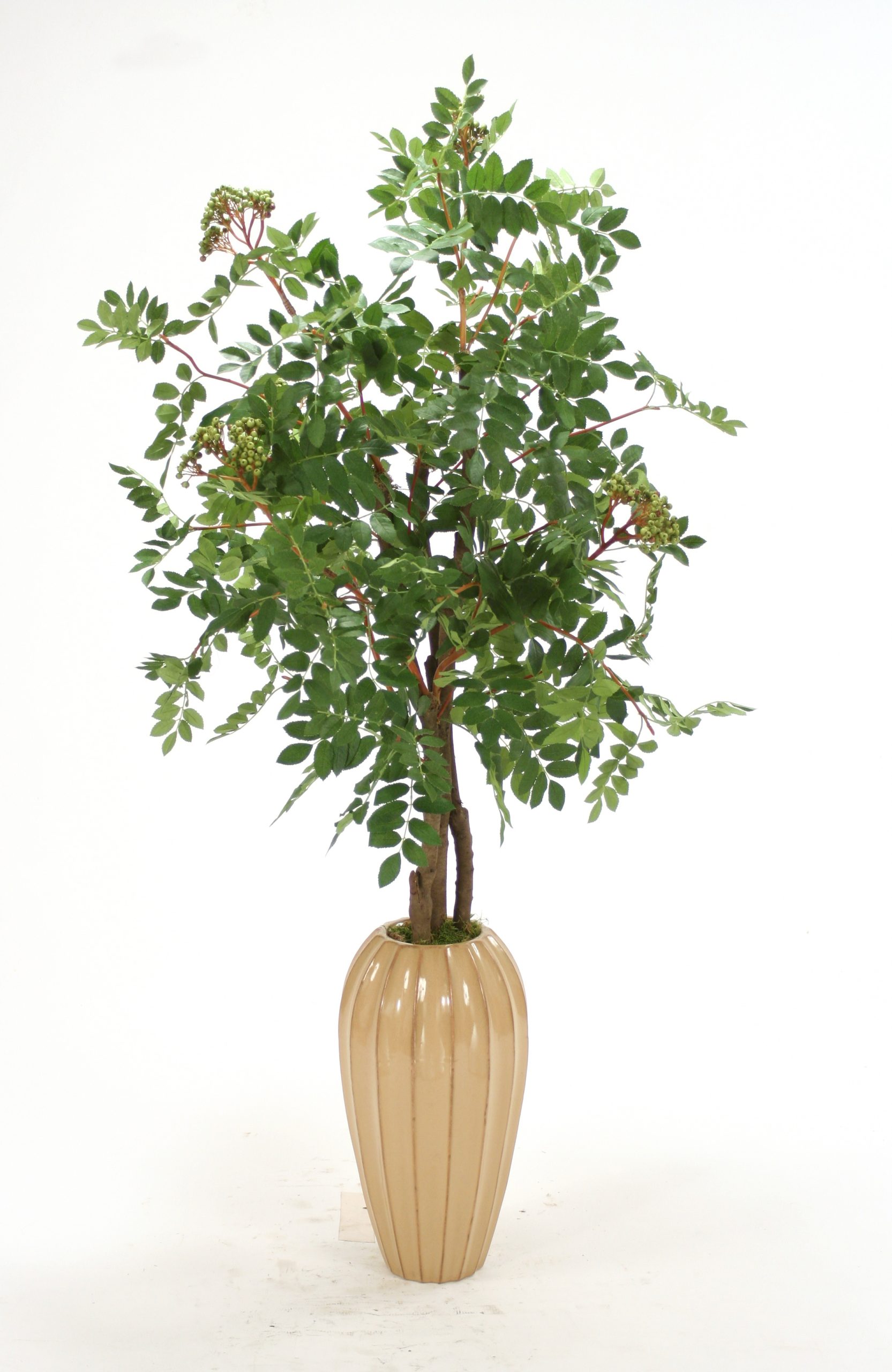 Silk Mountain Ash Floor Plant In Tall Tan Earthenware Vase intended for sizing 2172 X 3340