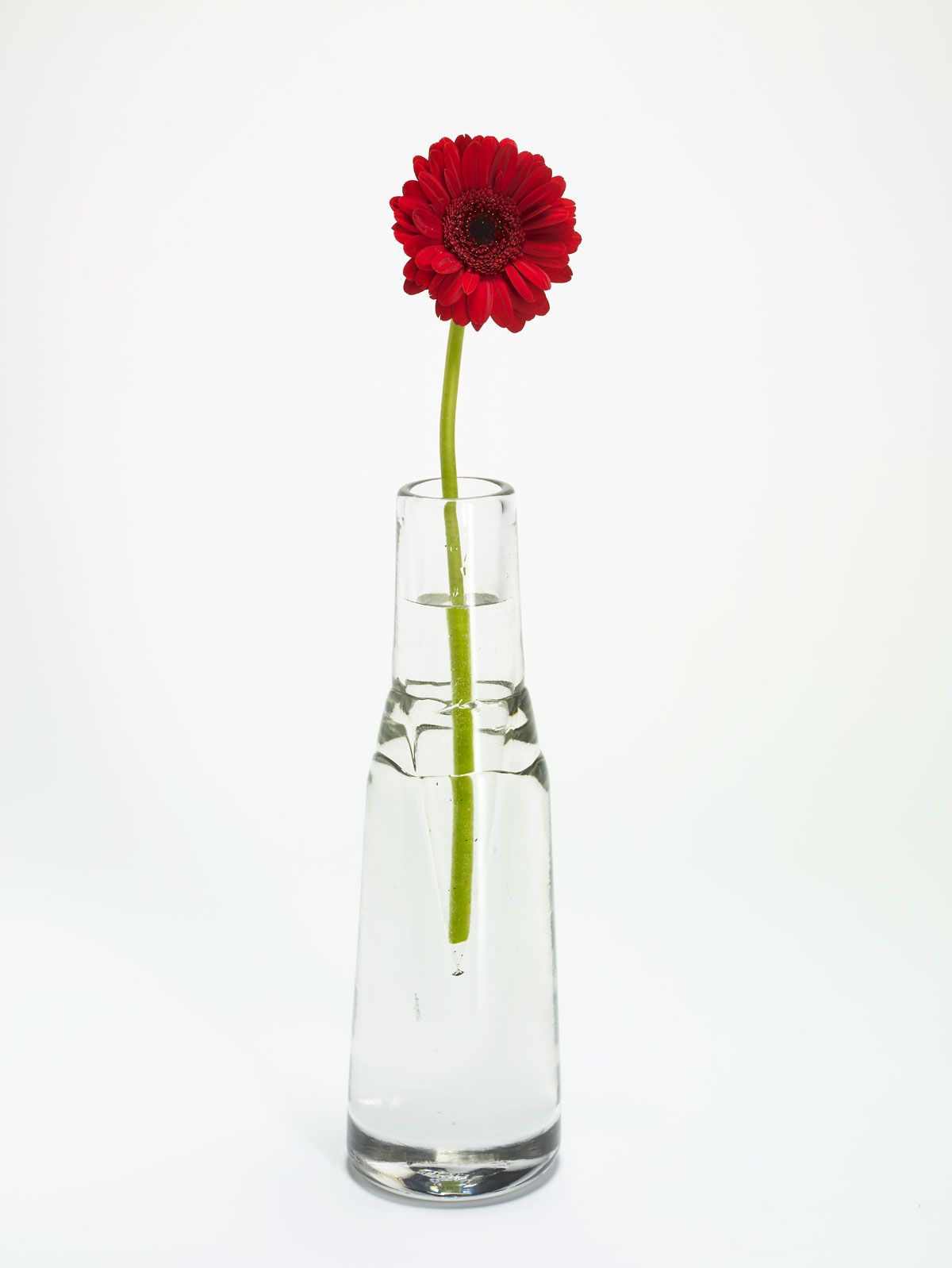 Single Flower Centerpieces But With A Cylinder Vase for dimensions 1200 X 1598