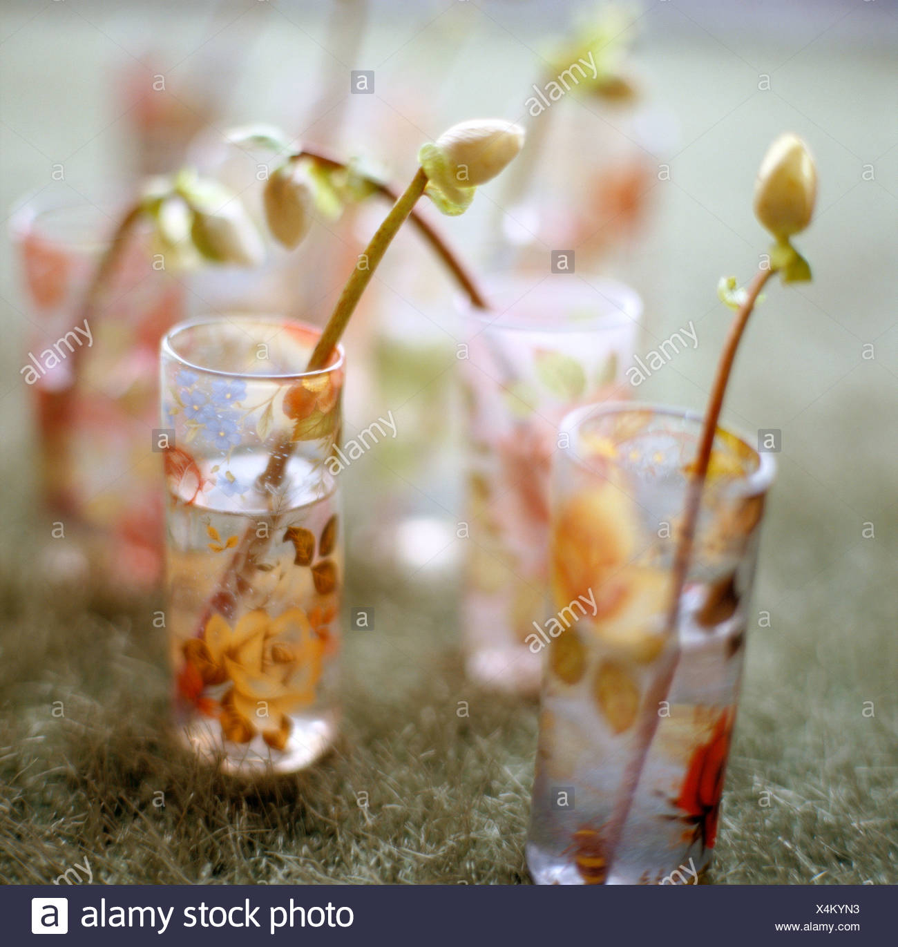 Small Vases With One Flower In Each Stock Photo 278263359 with dimensions 1300 X 1371