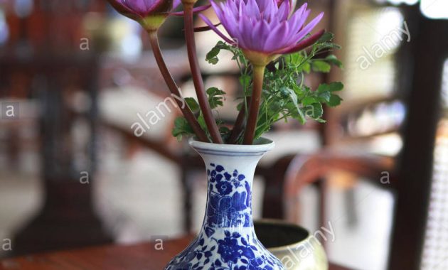 Sri Lankalotus Flowers Stock Photo 81755891 Alamy intended for proportions 866 X 1390