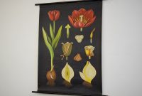 Tableau Mural De La Tulipe Par Jung Koch Quentell Des Annes 1950 in measurements 1600 X 1273