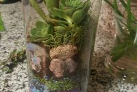 Tall Glass Vase Terrarium Easy And Beautiful For Your pertaining to proportions 747 X 1328