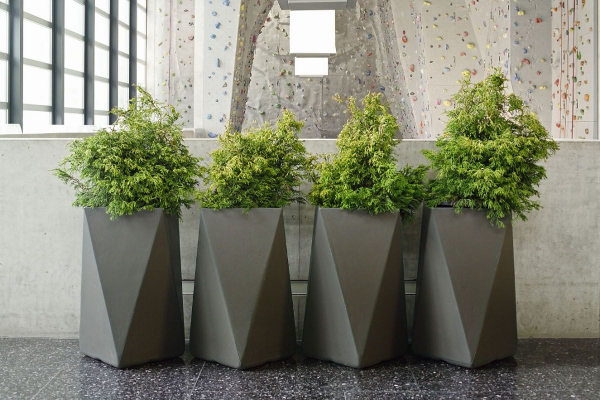 Tall Outdoor Planters Modern Decorative Large Outdoor inside dimensions 1199 X 800