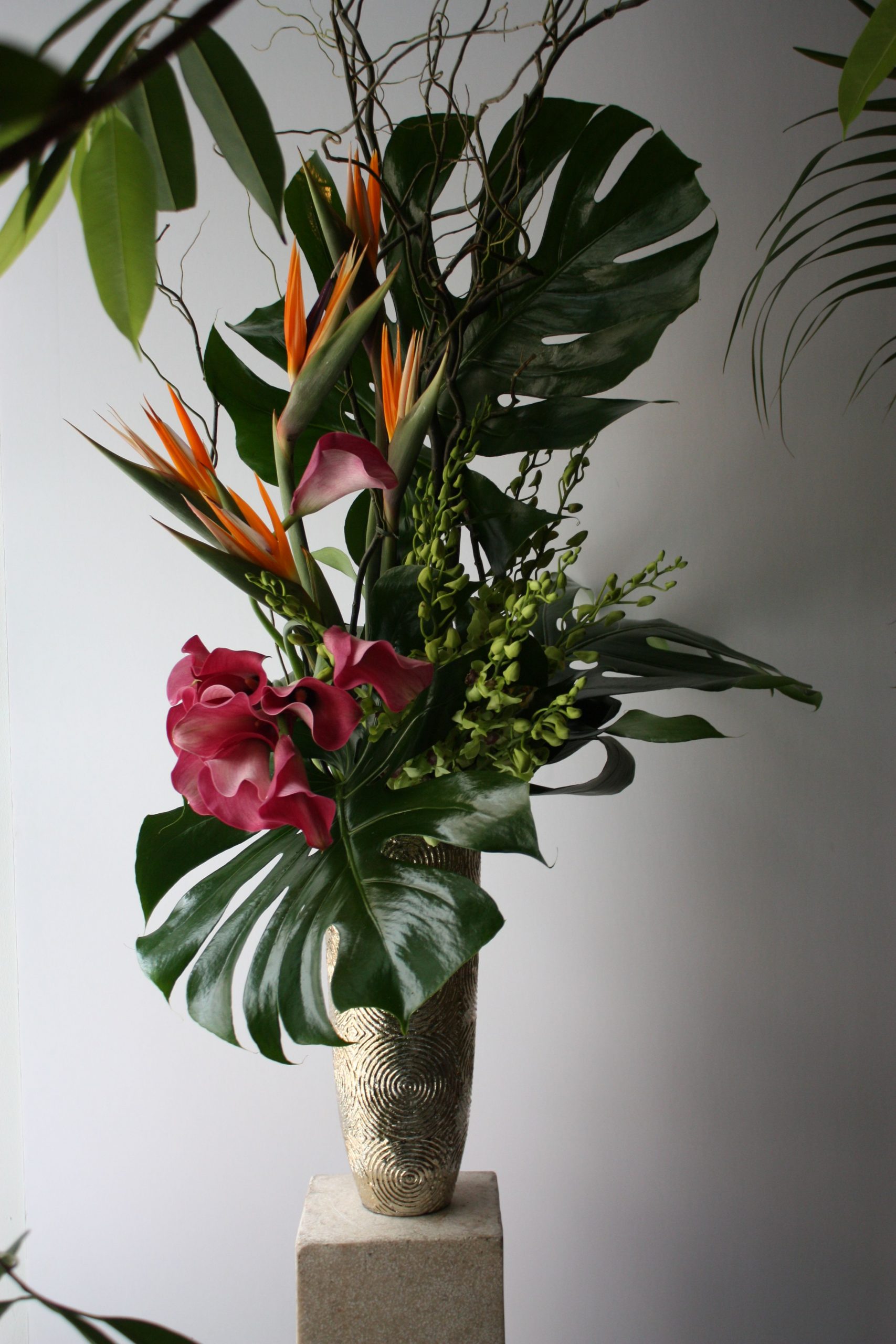 Tall Tropical Flower Arrangement Composition Of Monstera with dimensions 2848 X 4272