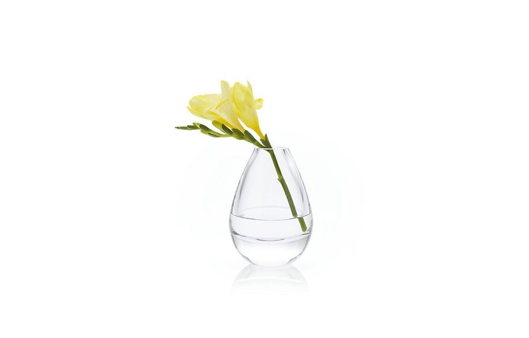 Teeny Large Bud Vase with measurements 1738 X 1110