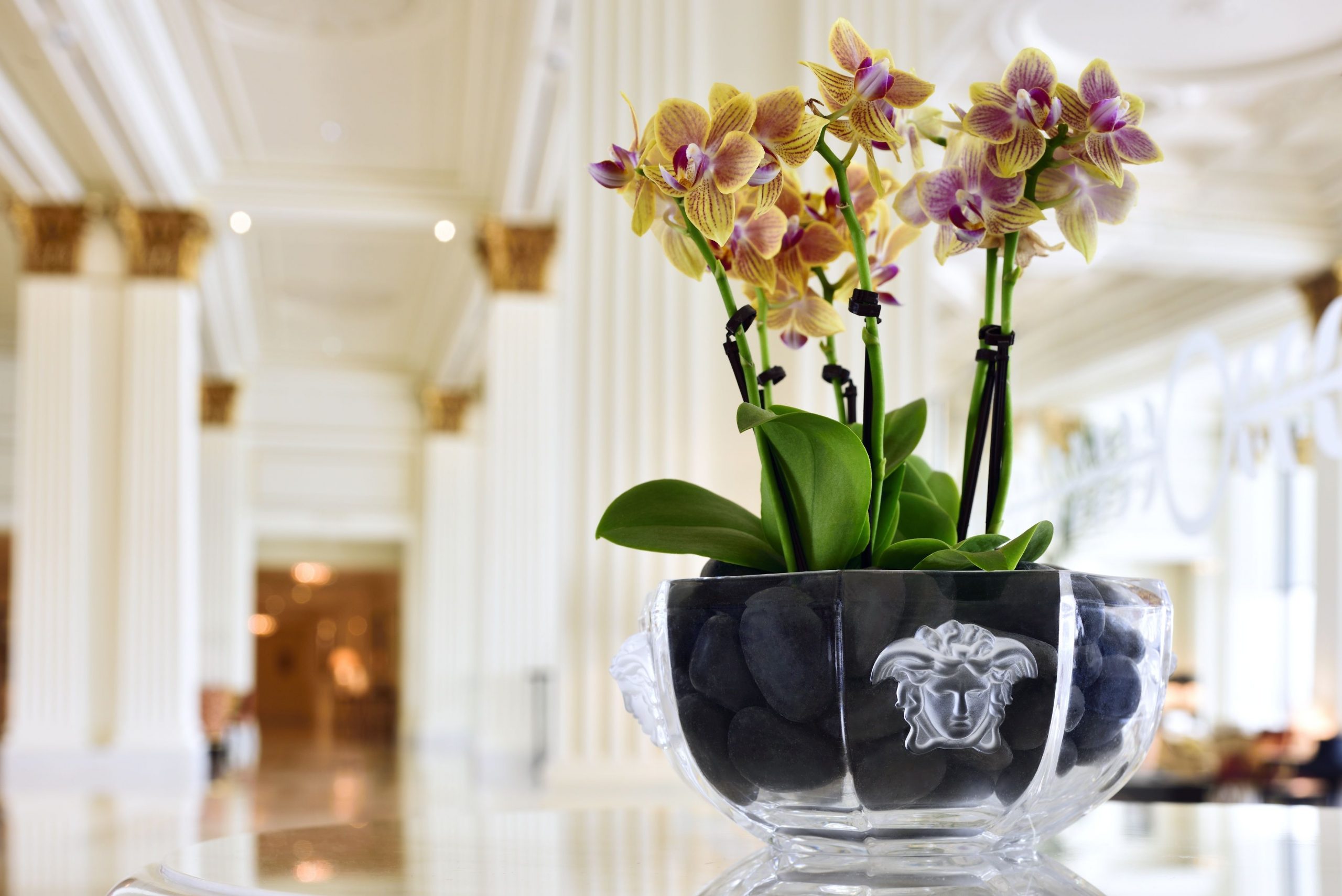 The Magnificent Versace Flower Vase At Palazzo Versace Dubai inside sizing 3500 X 2336