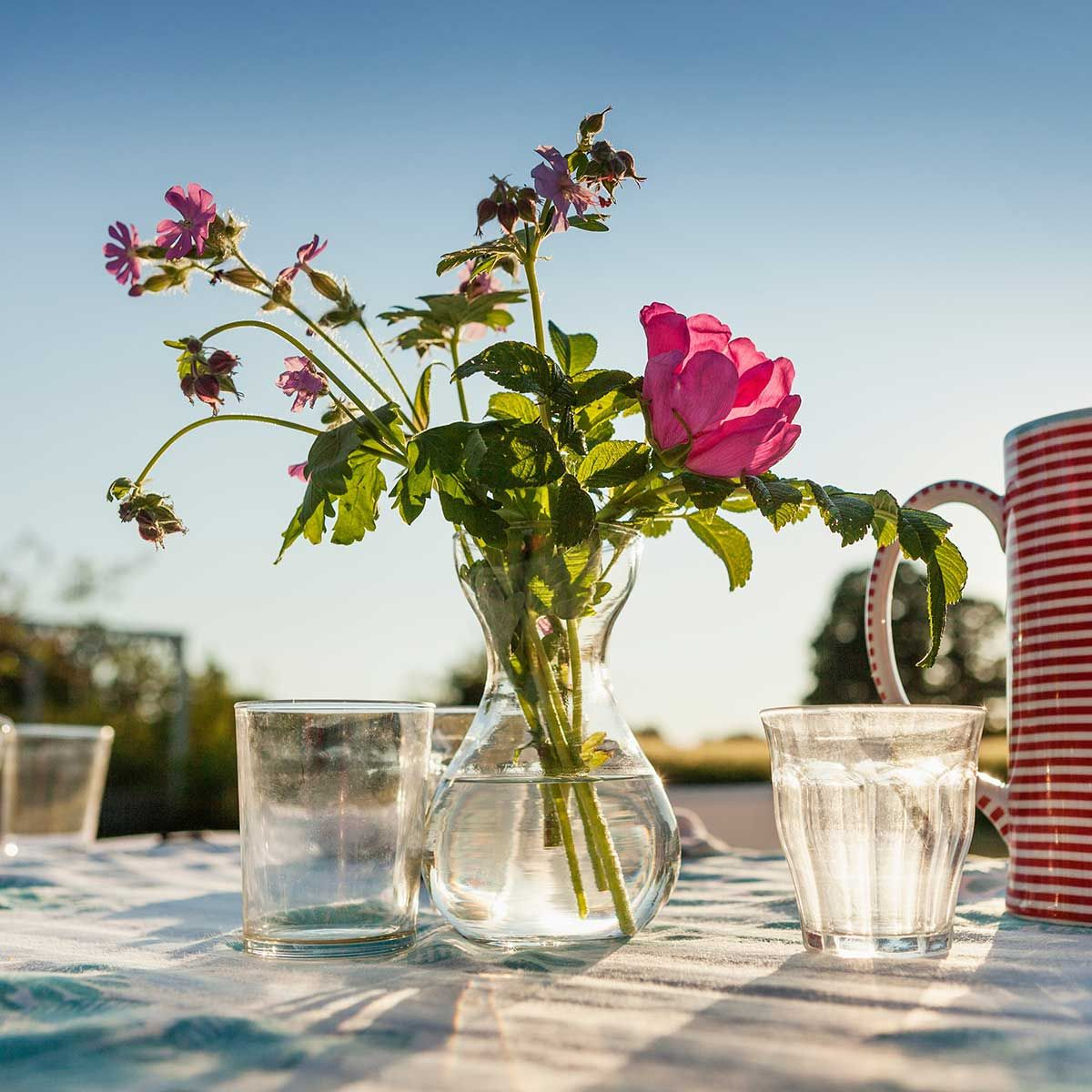 The Trick To Keeping Vases Gleaming Good Housekeeping intended for measurements 1200 X 1200