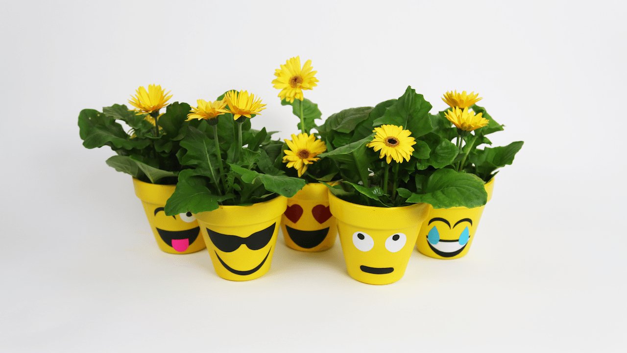 These Diy Emoji Flower Pots Are Adorable And So Easy To Make intended for dimensions 1280 X 720