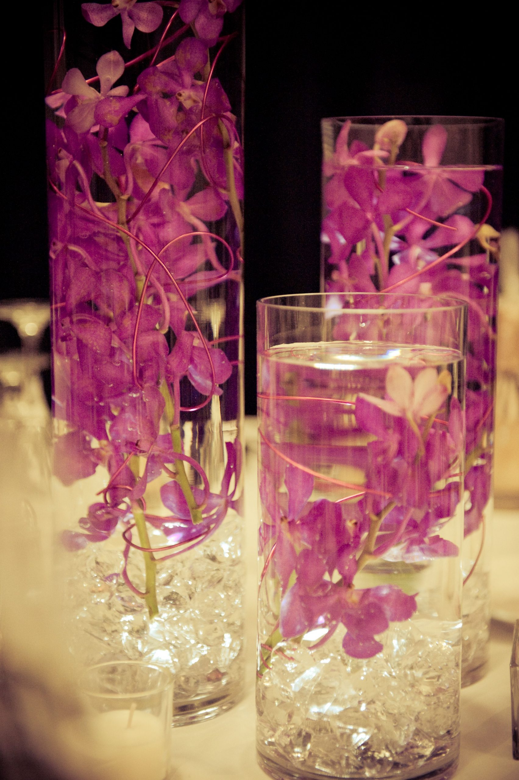 Trio Of Cylinder Vase With Submerged Orchids Submerged regarding sizing 2832 X 4256