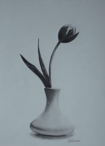 Tulip In A Vase Still Life Sketch Original Art Graphite regarding measurements 1929 X 2673