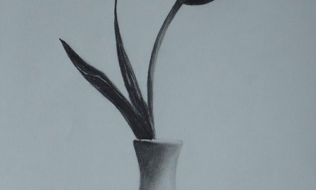 Tulip In A Vase Still Life Sketch Original Art Graphite regarding measurements 1929 X 2673