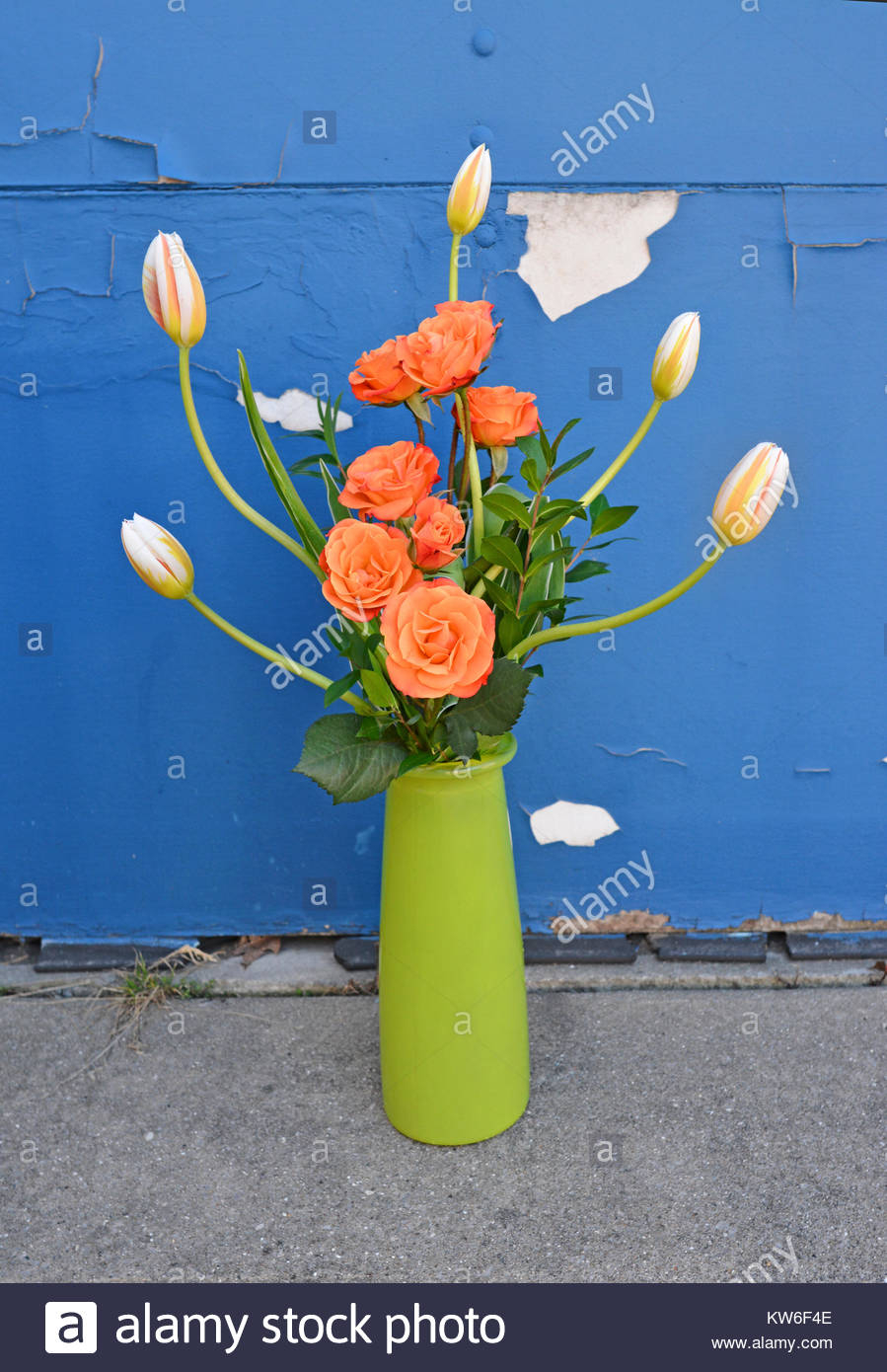 Tulips In Tall Vase Photos Tulips In Tall Vase Images Alamy pertaining to sizing 899 X 1390