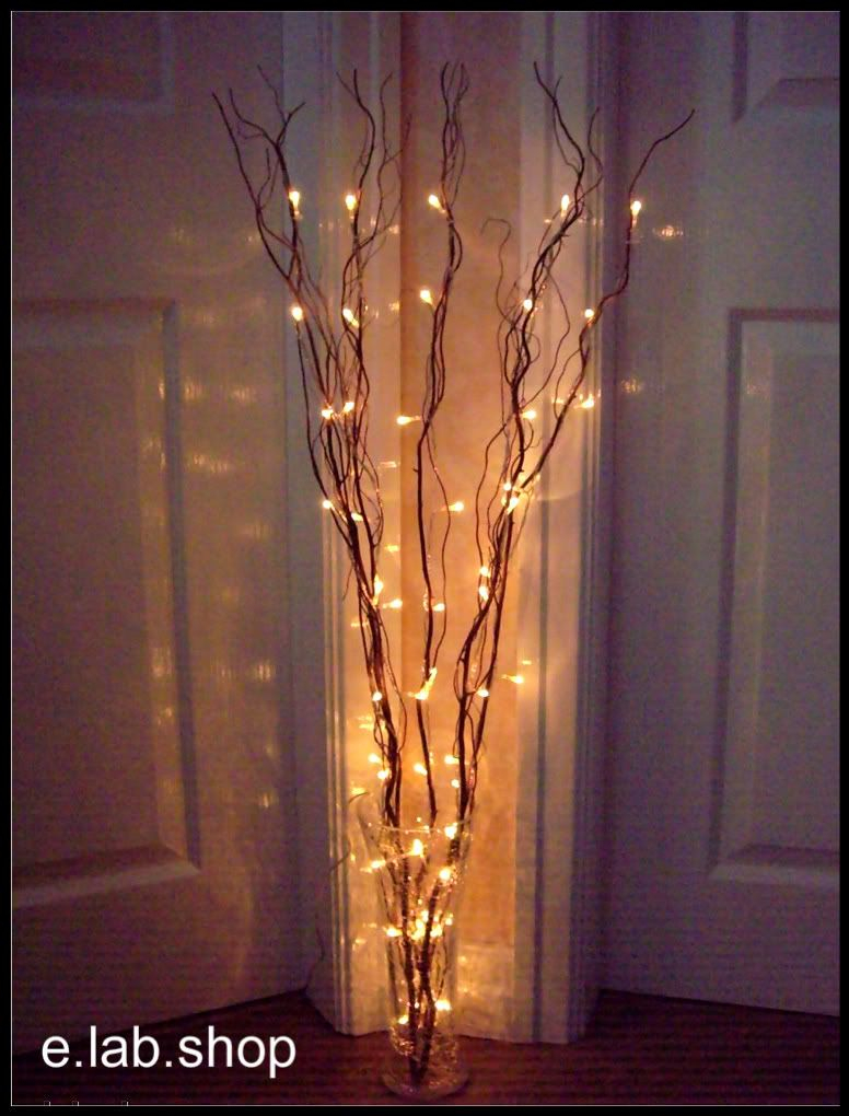 Twig Lights In Tall Vases Filled With Orchids And Peacock for dimensions 776 X 1020
