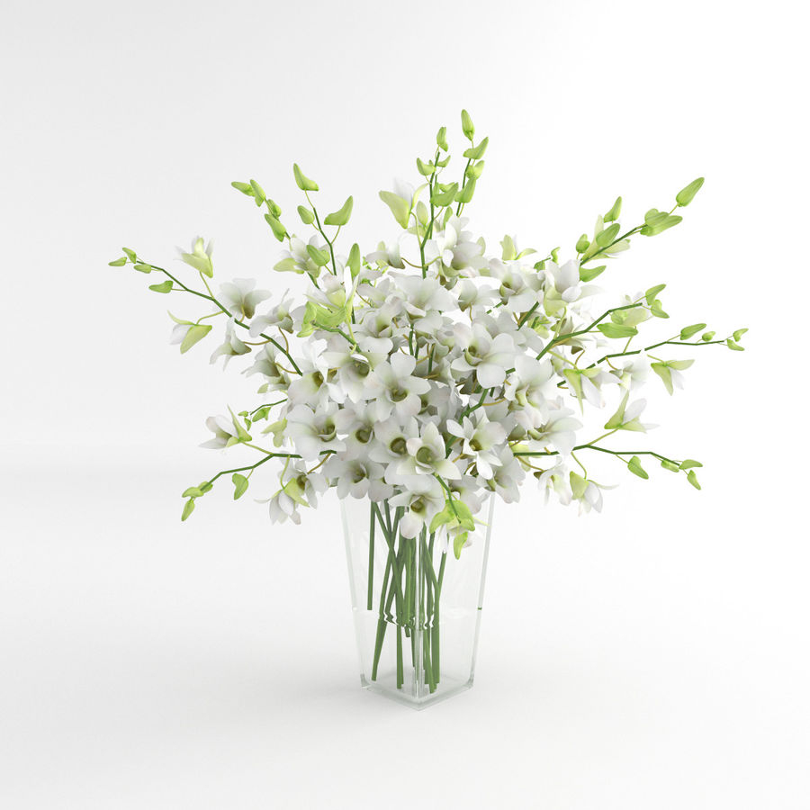 Vase En Verre Dentrobium Blanc Fleur Dorchide 01 Modle 3d for dimensions 900 X 900