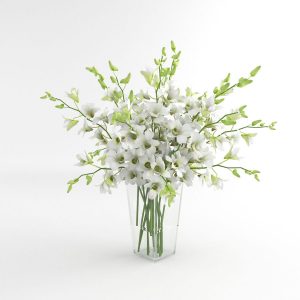 Vase En Verre Dentrobium Blanc Fleur Dorchide 01 Modle 3d for proportions 900 X 900