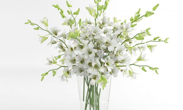 Vase En Verre Dentrobium Blanc Fleur Dorchide 01 Modle 3d for proportions 900 X 900