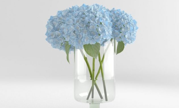 Vase En Verre Fleurs Hydragea Modle 3d 19 Obj Fbx regarding measurements 900 X 900