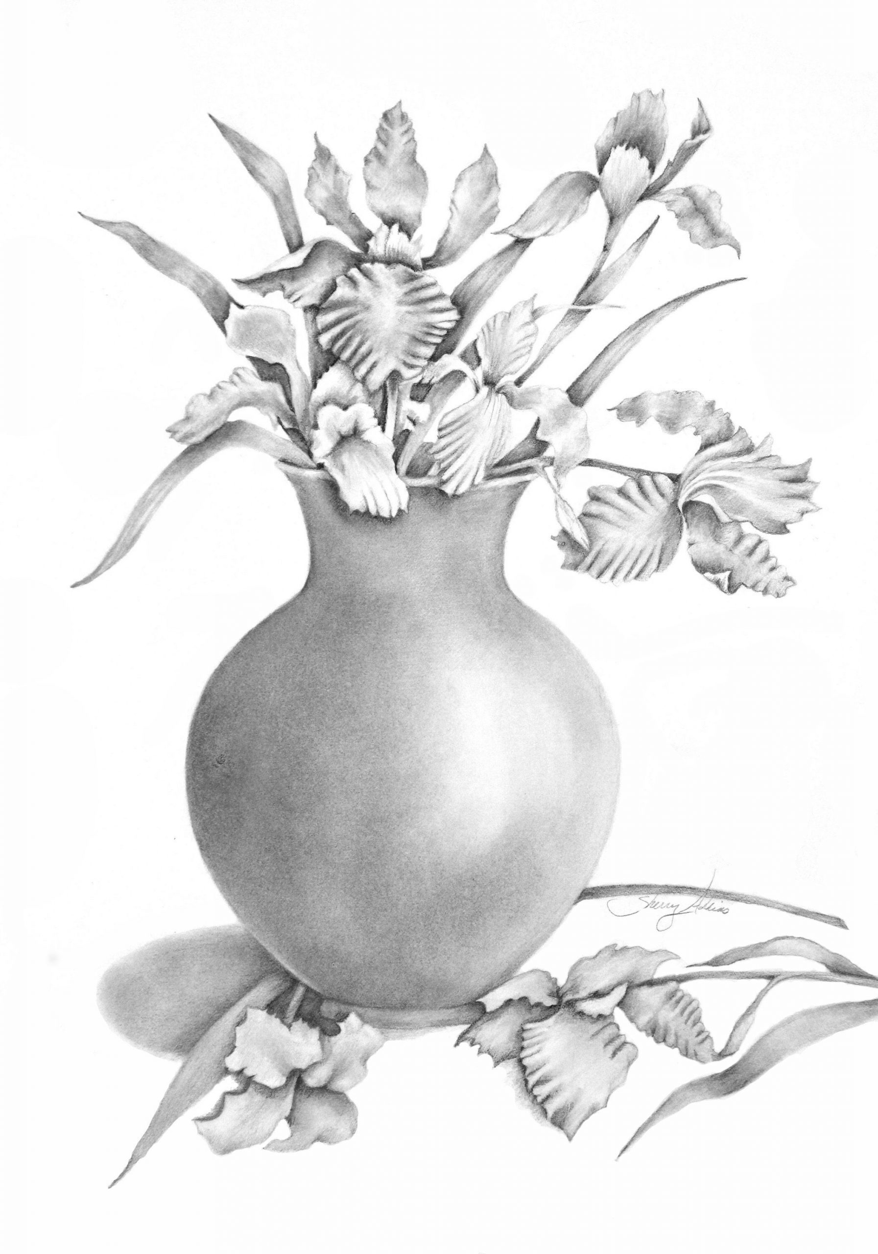 Vase Of Irises Pencil Drawing Print Flower Drawing Pencil throughout measurements 2101 X 3000